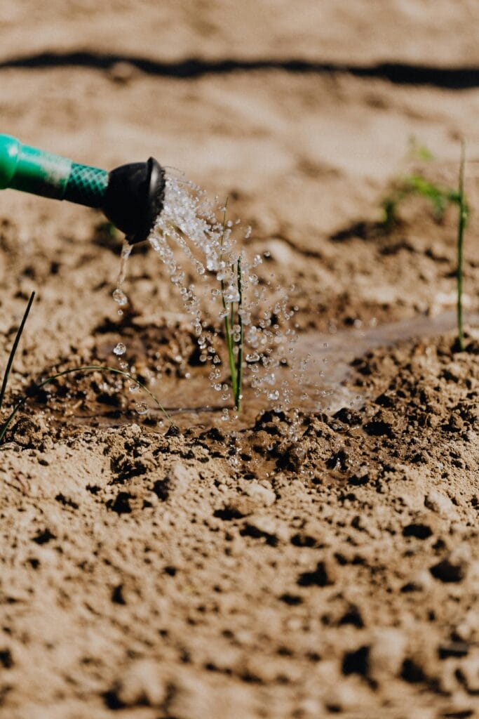 10 ways to protect the environment